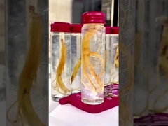 Bebida instantânea de ninho de pássaro