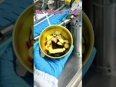 Sopa de frango com nozes e lingzhi